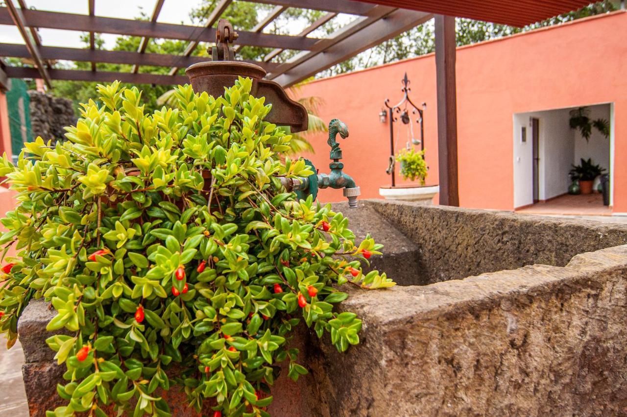 Finca El Pastel Tacoronte Exterior foto