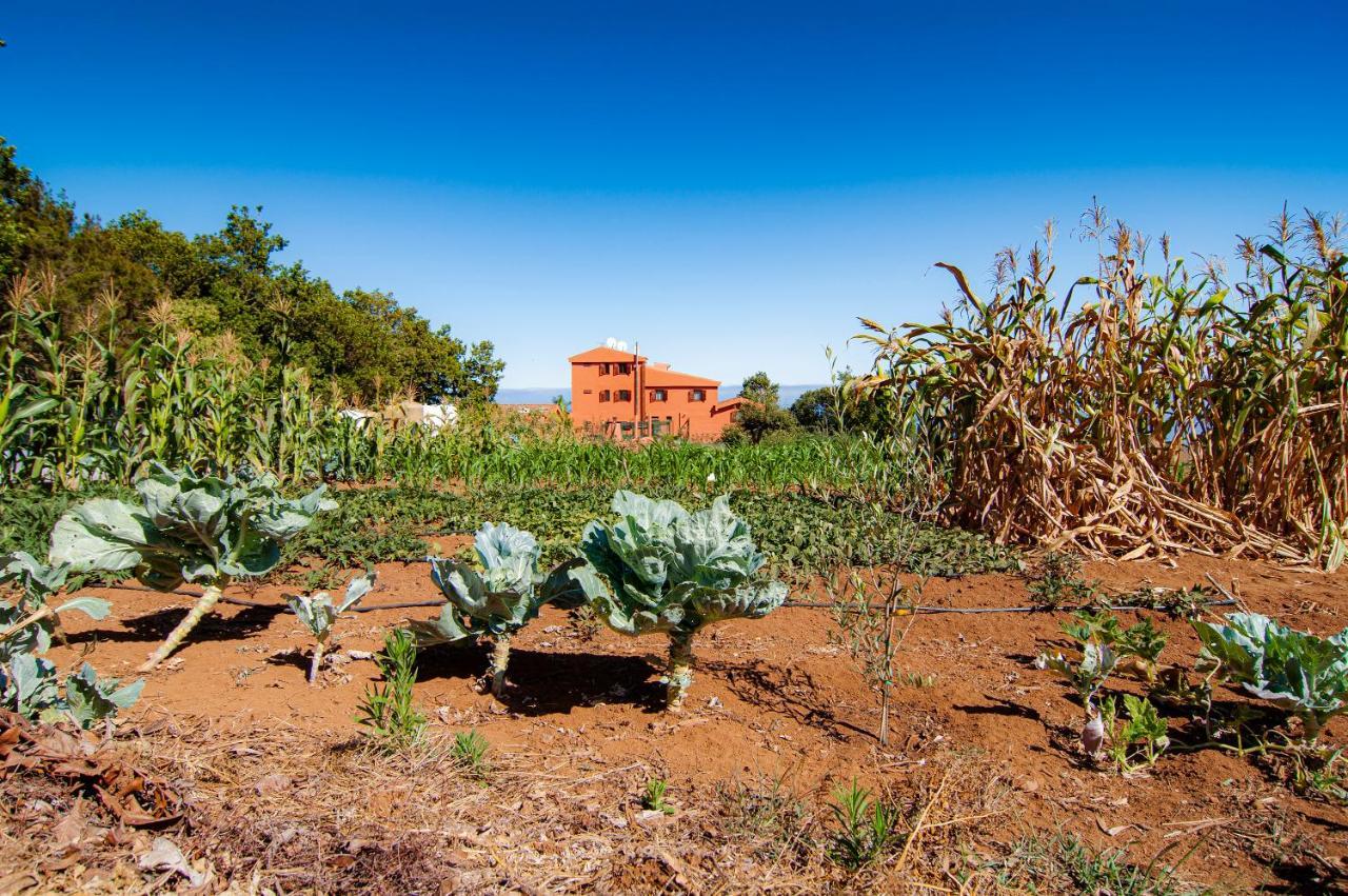 Finca El Pastel Tacoronte Exterior foto